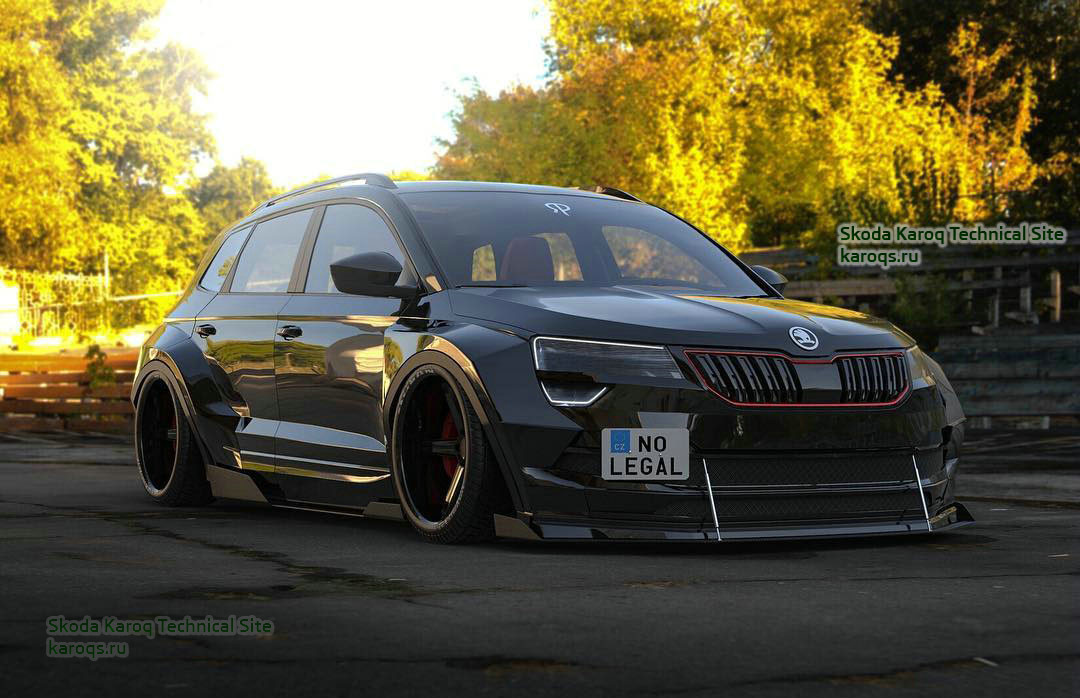 Skoda-Karoq-DTM.jpg