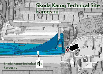 skoda-karoq-kozhuh-radiatora-10689.jpg