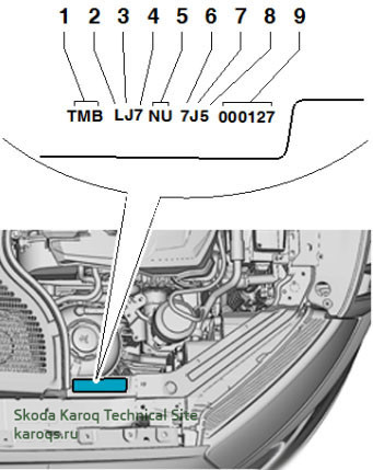 Где находится на шкоде номер двигателя и вин?