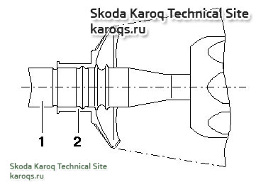 4810076.jpg